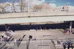 Your NW Skate Authority: Skateboarding in the Northwest How to Skateboard: A Beginner's Guide to Your First Board & Tricks Your NW Skate Authority: Skateboarding in the Northwest | How to Skateboard: A Beginner's Guide to Your First Board & Tricks