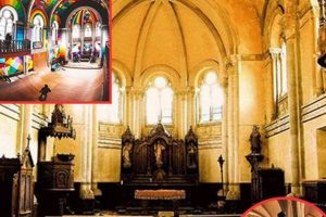 Best Skate Shop in Santa Barbara: Gear & More! | How to Skateboard: A Beginner's Guide to Your First Board & Tricks