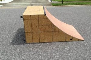 Top Skater's Best Ramps & Rails for Skateboarding Guide! | How to Skateboard: A Beginner's Guide to Your First Board & Tricks