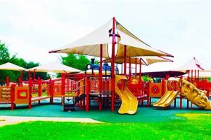 Katy TX Skate Park Guide: Find Your Ride | How to Skateboard: A Beginner's Guide to Your First Board & Tricks