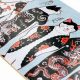 Purr-fect Cat Skate Deck: Unique Designs for Your Ride | How to Skateboard: A Beginner's Guide to Your First Board & Tricks