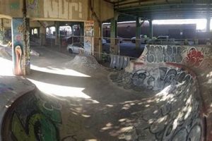 Explore 9th Street & Poplar DIY Skate Park - Philly's Hidden Gem! | How to Skateboard: A Beginner's Guide to Your First Board & Tricks