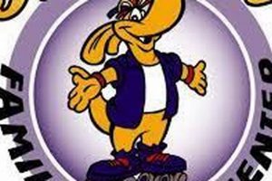 Family Fun: Roebuck Family Skate Adventures & Tips | How to Skateboard: A Beginner's Guide to Your First Board & Tricks