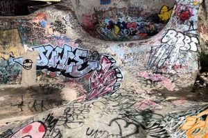 Why Graffiti on Skate Parks Matters: Art or Vandalism? | How to Skateboard: A Beginner's Guide to Your First Board & Tricks