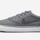 Best Nike SB Chron 2 Canvas Skate Shoes: Durable & Stylish! | How to Skateboard: A Beginner's Guide to Your First Board & Tricks