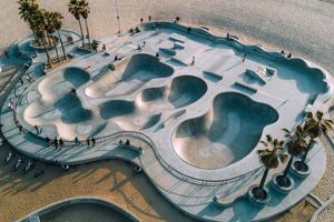 Your Venice Beach Skate Shop: Boards & Gear! | How to Skateboard: A Beginner's Guide to Your First Board & Tricks