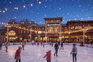 Naperville Ice Skates: Find Your Perfect Pair &amp; More! | How to Skateboard: A Beginner's Guide to Your First Board & Tricks