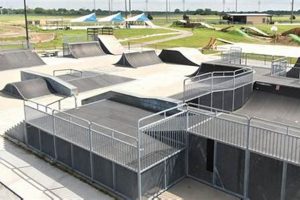 Best Skate Park in Grand Prairie TX: A Local's Guide | How to Skateboard: A Beginner's Guide to Your First Board & Tricks