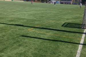 Explore Laguna Niguel Skate & Soccer Park: A Local Gem | How to Skateboard: A Beginner's Guide to Your First Board & Tricks