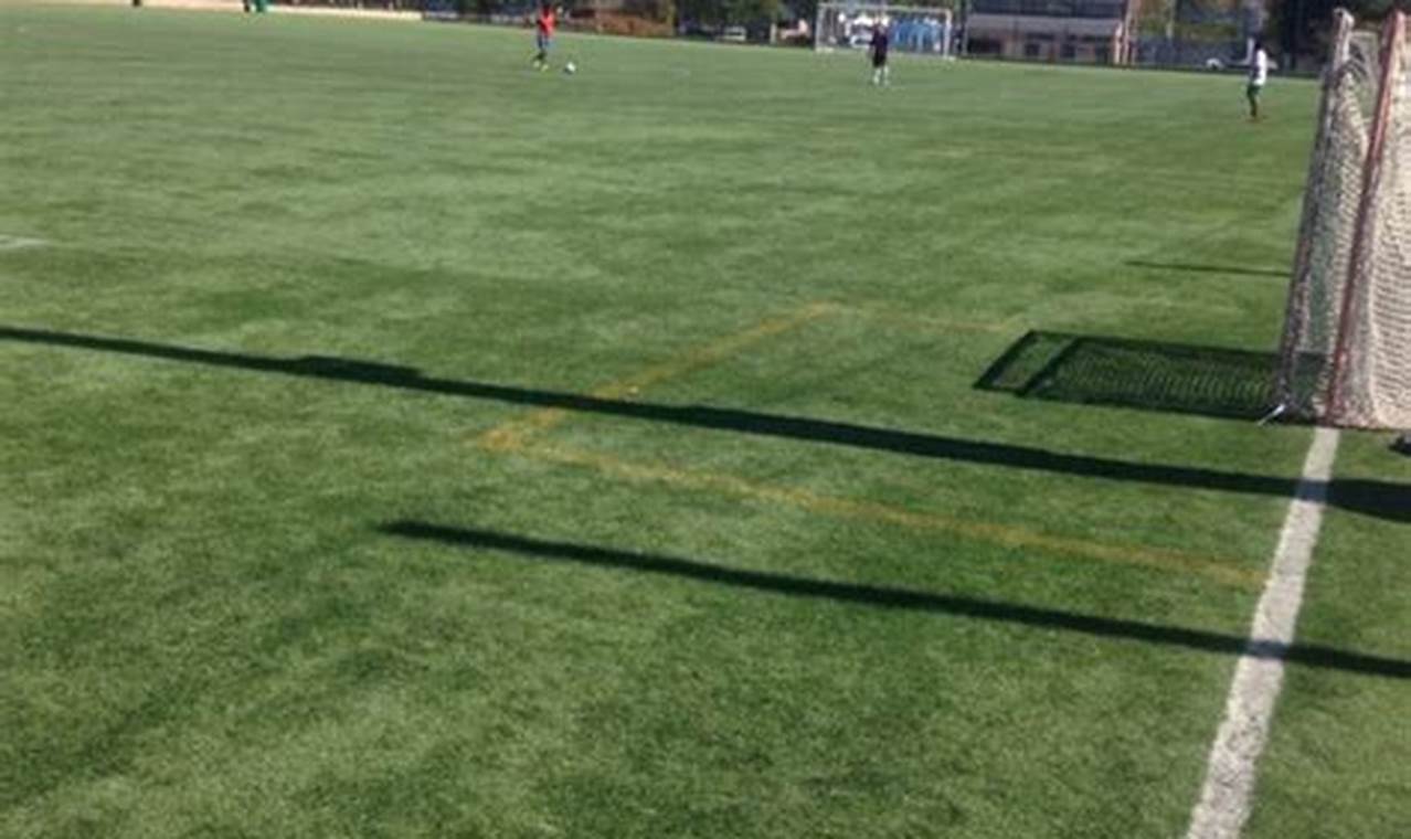 Explore Laguna Niguel Skate & Soccer Park: A Local Gem | How to Skateboard: A Beginner's Guide to Your First Board & Tricks