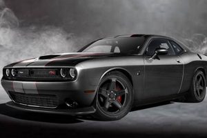 Emerging Skat Pack Challengers: How to Compete & Win | How to Skateboard: A Beginner's Guide to Your First Board & Tricks