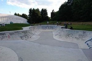 Explore Crystal Skate Park: Your Ultimate Guide | How to Skateboard: A Beginner's Guide to Your First Board & Tricks