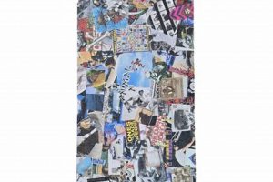 Your Guide to Animal Chin Skate Shop Gear | How to Skateboard: A Beginner's Guide to Your First Board & Tricks