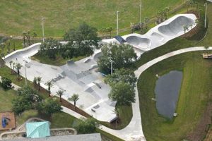 Visit St Pete Skate Park: Guide & Tips + More Fun! | How to Skateboard: A Beginner's Guide to Your First Board & Tricks