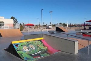 Local Skate Shop Las Vegas: Gear & More! | How to Skateboard: A Beginner's Guide to Your First Board & Tricks