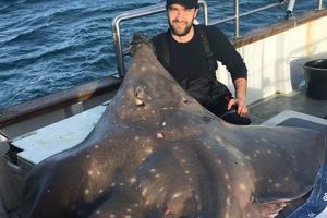 Tips for Skate Fishing: The Ultimate Guide! | How to Skateboard: A Beginner's Guide to Your First Board & Tricks