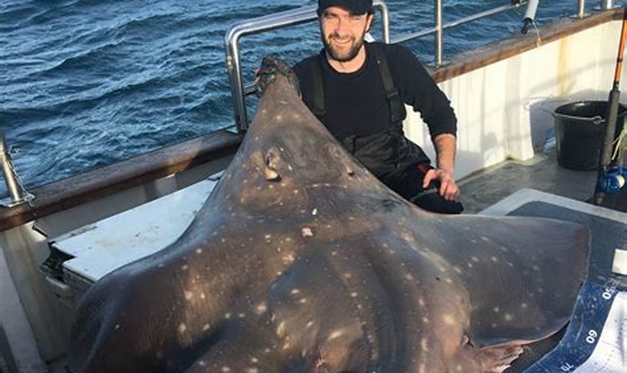 Tips for Skate Fishing: The Ultimate Guide! | How to Skateboard: A Beginner's Guide to Your First Board & Tricks