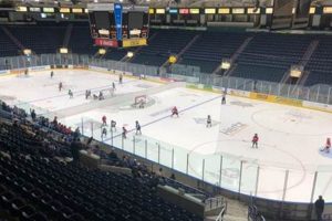 Your Guide: Hertz Arena Free Skate + Tips for Skaters! | How to Skateboard: A Beginner's Guide to Your First Board & Tricks