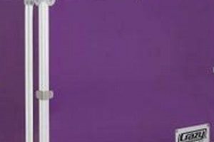 Best Skate Case Options: Travel Like a Pro Skater! | How to Skateboard: A Beginner's Guide to Your First Board & Tricks