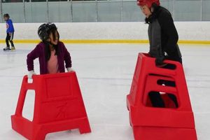 Beginner Skate Helper Guide: Skating Made Easy! | How to Skateboard: A Beginner's Guide to Your First Board & Tricks