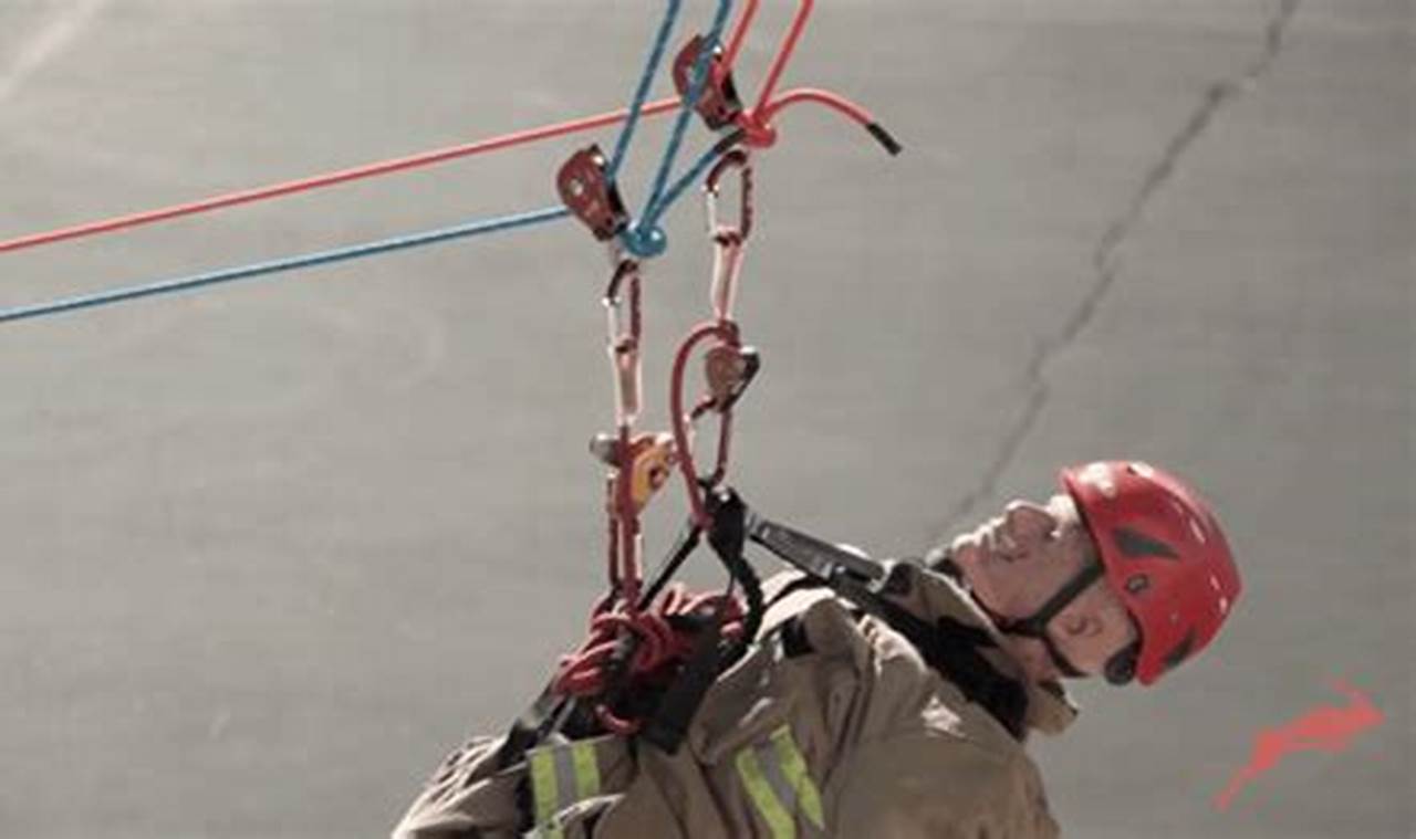 Upgrade Your Skate Block: Performance & Customization Tips | How to Skateboard: A Beginner's Guide to Your First Board & Tricks