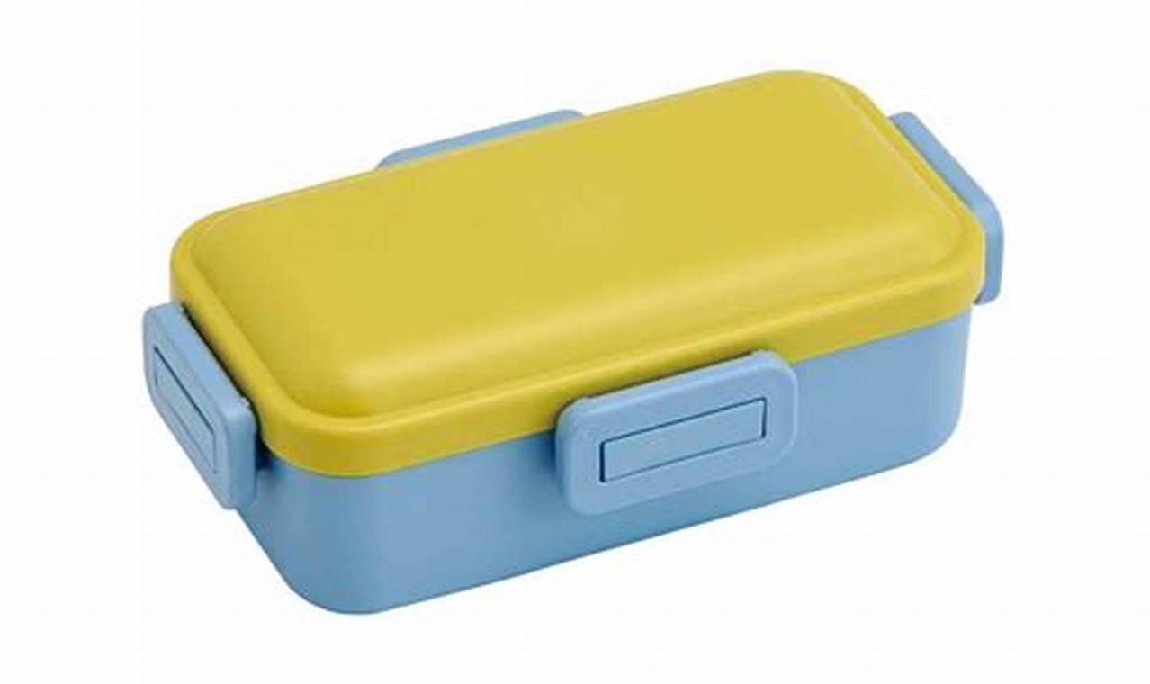 Skate Fuel: Delicious & Healthy Skater Bento Ideas | How to Skateboard: A Beginner's Guide to Your First Board & Tricks