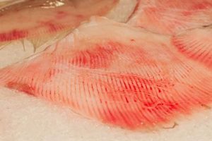 The Skater's Guide to Skate Meat: Flavor & Safety | How to Skateboard: A Beginner's Guide to Your First Board & Tricks