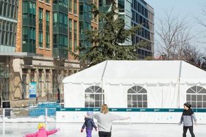 Buy Newport Skates - Quality Skates For Skaters How to Skateboard: A Beginner's Guide to Your First Board & Tricks Buy Newport Skates - Quality Skates For Skaters | How to Skateboard: A Beginner's Guide to Your First Board & Tricks