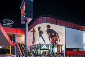 Your Local Skate Store in Las Vegas: Gear & More | How to Skateboard: A Beginner's Guide to Your First Board & Tricks