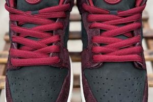 Your Local Nike SB Skate Shop: Find Gear & More! | How to Skateboard: A Beginner's Guide to Your First Board & Tricks