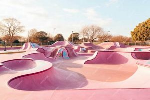 Beyond Concrete: Aesthetic Skate Park Designs for All | How to Skateboard: A Beginner's Guide to Your First Board & Tricks