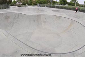 Ladera Ranch Skate Park: Your Local Skate Spot! How to Skateboard: A Beginner's Guide to Your First Board & Tricks Ladera Ranch Skate Park: Your Local Skate Spot! | How to Skateboard: A Beginner's Guide to Your First Board & Tricks