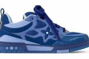 Best Blue Skates for Skaters: Ride in Style! | How to Skateboard: A Beginner's Guide to Your First Board & Tricks