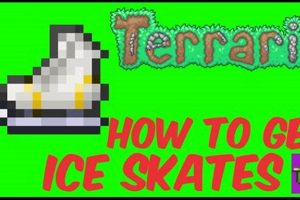Get Ice Skates Early: Terraria Seed Guide | How to Skateboard: A Beginner's Guide to Your First Board & Tricks