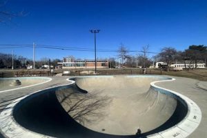 Find Local: Skate Shops Ann Arbor Guide & More | How to Skateboard: A Beginner's Guide to Your First Board & Tricks
