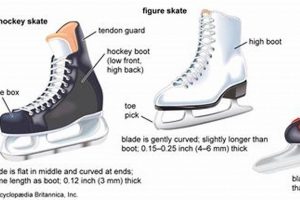Beginner's Guide: How to Skate With Skates - Tips & Tricks | How to Skateboard: A Beginner's Guide to Your First Board & Tricks