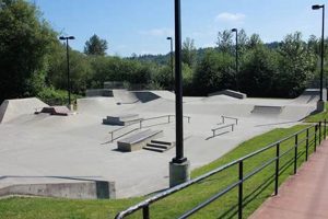 Best Skate Parks in Washington State | WA's Top Spots | How to Skateboard: A Beginner's Guide to Your First Board & Tricks