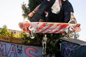 Buy Jason Adams Skate Gear: Style &amp; Performance | How to Skateboard: A Beginner's Guide to Your First Board & Tricks