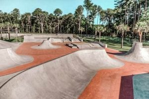 Best Georgia Skate Parks: Your Ultimate Guide | How to Skateboard: A Beginner's Guide to Your First Board & Tricks