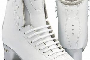 Jackson Premiere Skates: Your Edge for Skating Success! | How to Skateboard: A Beginner's Guide to Your First Board & Tricks