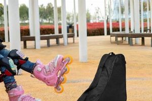 Best Roller Skate Bag Backpack: Carry with Style! | How to Skateboard: A Beginner's Guide to Your First Board & Tricks