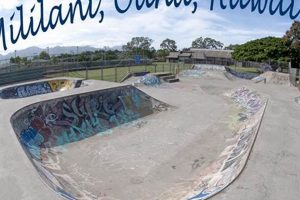 Visit Mililani Skate Park: O'ahu's Best Spot! | How to Skateboard: A Beginner's Guide to Your First Board & Tricks