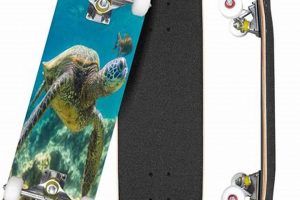 Best Turtle Skates: Gear Up & Roll Out! | How to Skateboard: A Beginner's Guide to Your First Board & Tricks