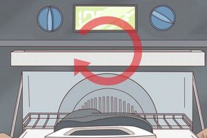 Skater's Guide: How to Bake Skates Perfectly + Tips | How to Skateboard: A Beginner's Guide to Your First Board & Tricks