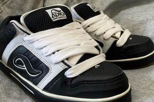 Pro Skater: Kenny Anderson Skate Tricks & Style | How to Skateboard: A Beginner's Guide to Your First Board & Tricks