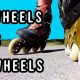 3 Wheel vs 4 Wheel Inline Skates: Which Skate is Best? | How to Skateboard: A Beginner's Guide to Your First Board & Tricks