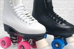 Best Dominion Skates: Reviews & Expert Guide for Skaters | How to Skateboard: A Beginner's Guide to Your First Board & Tricks