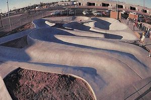 Best Skate Parks in Mesa, AZ: Find Your Park! How to Skateboard: A Beginner's Guide to Your First Board & Tricks Best Skate Parks in Mesa, AZ: Find Your Park! | How to Skateboard: A Beginner's Guide to Your First Board & Tricks