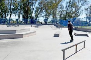 Visit Centennial Skate Park: Your [City] Skate Spot! | How to Skateboard: A Beginner's Guide to Your First Board & Tricks