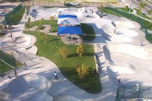 Discover the Best Skate Park Fontana CA Offers! | How to Skateboard: A Beginner's Guide to Your First Board & Tricks